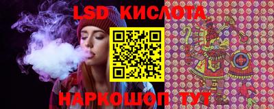 PSILOCYBIN Кулебаки